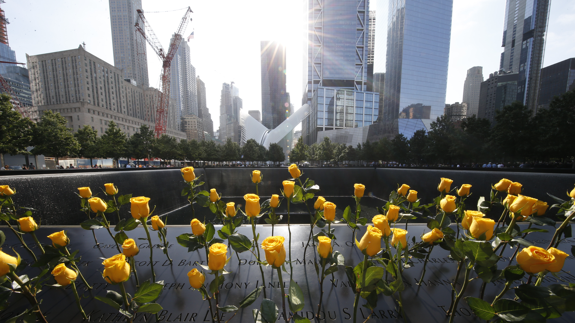 Jl 0911 Wedanniv M0 T0566 Copy 1 5f5ab6a05354d