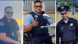 137535401 1295644764128037 3430078330906464089 O 5ffdefdf26f63 137535401 1295644764128037 3430078330906464089 O 5ffdefdf26f63