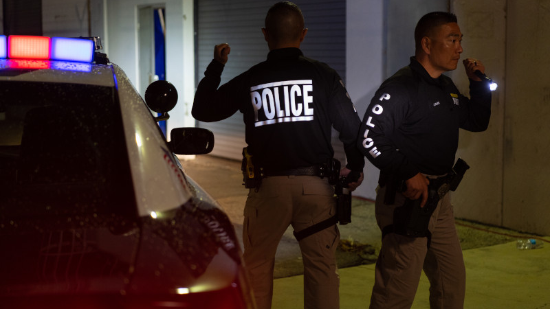 3M Carbon Black Embellishment for