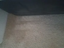 Before using a UV light. Before using a UV light.