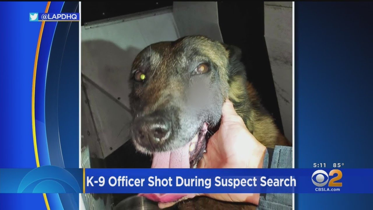 Maxresdefault 60c8c4f389094