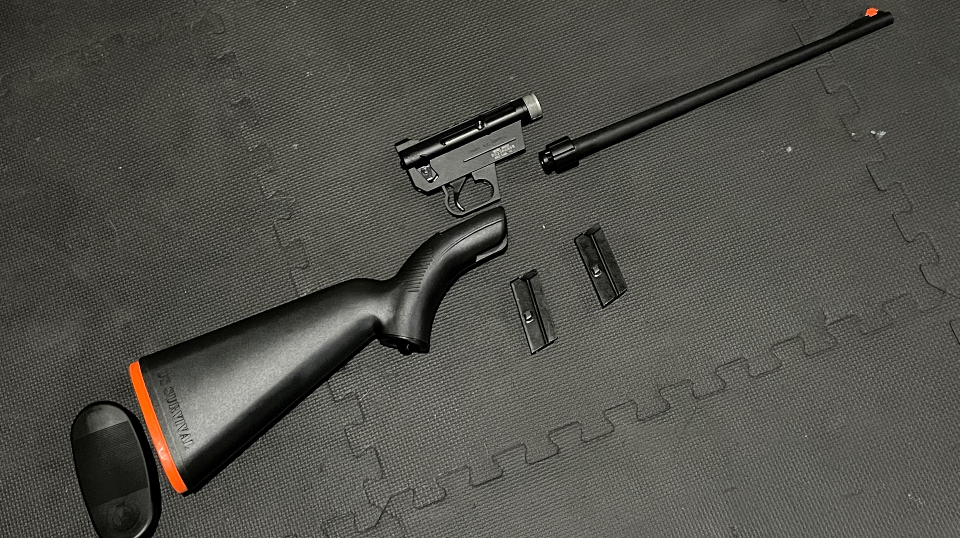 Henry Repeating Arms AR-7 Survival Rifle