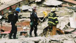 Rescue workers work with dogs to search for victims of the World Trade Center attacks in New York City on September 27, 2001. Rescue workers work with dogs to search for victims of the World Trade Center attacks in New York City on September 27, 2001.