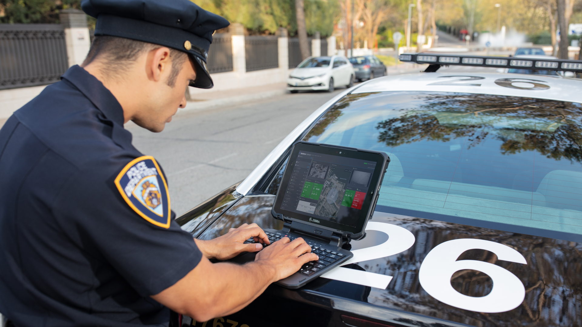 Zebra1 6143275123b71