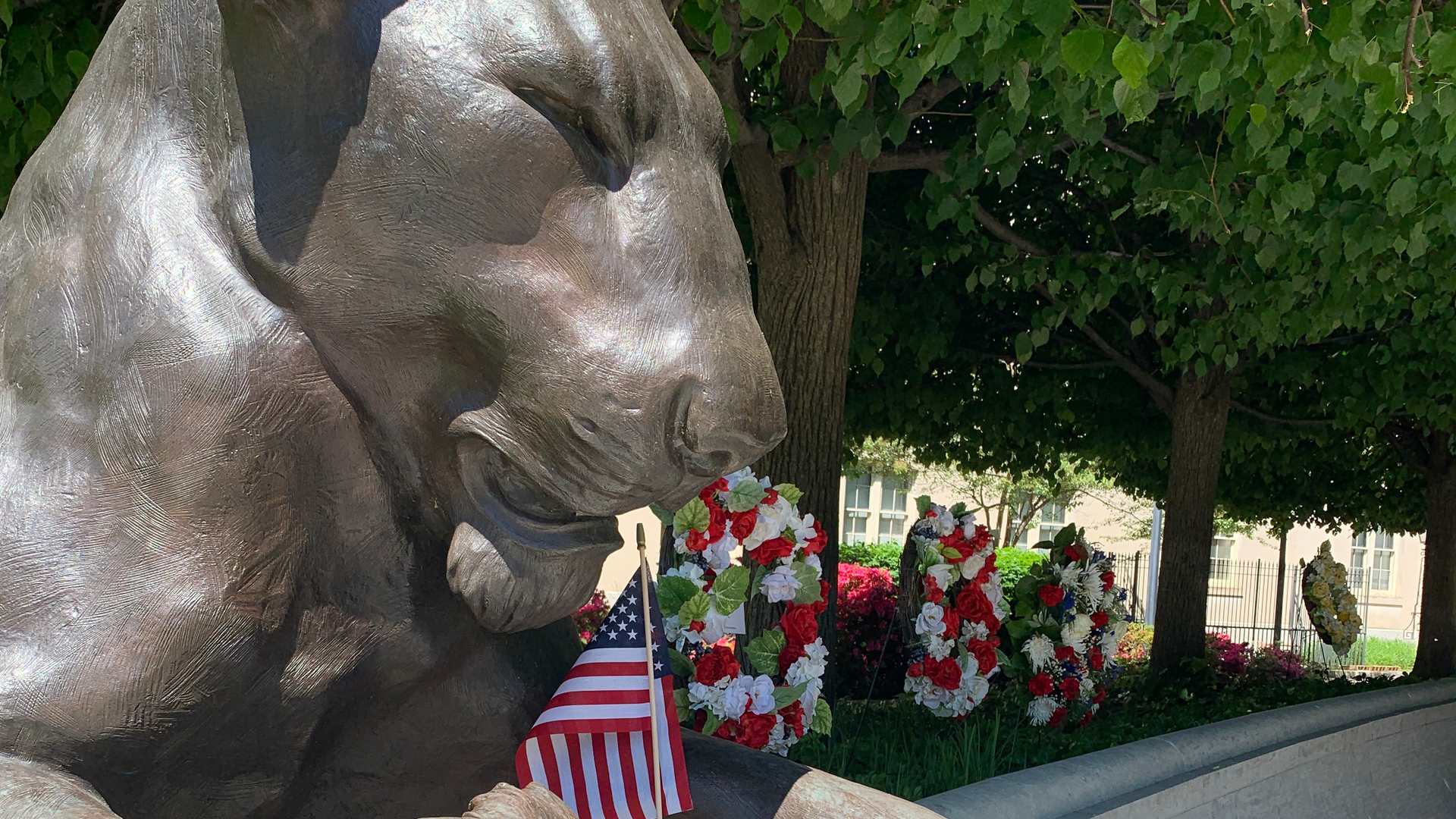 51177968329 2558f7aa93 O 1 61b0b5087efb8