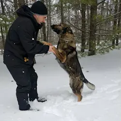 Roscommon County, MI, sheriff's K-9, Ghost, helped locate a 58-year-old man who went missing in 'thick woods' as temperatures dropped to about 11 degrees Jan. 20. Roscommon County, MI, sheriff's K-9, Ghost, helped locate a 58-year-old man who went missing in 'thick woods' as temperatures dropped to about 11 degrees Jan. 20.