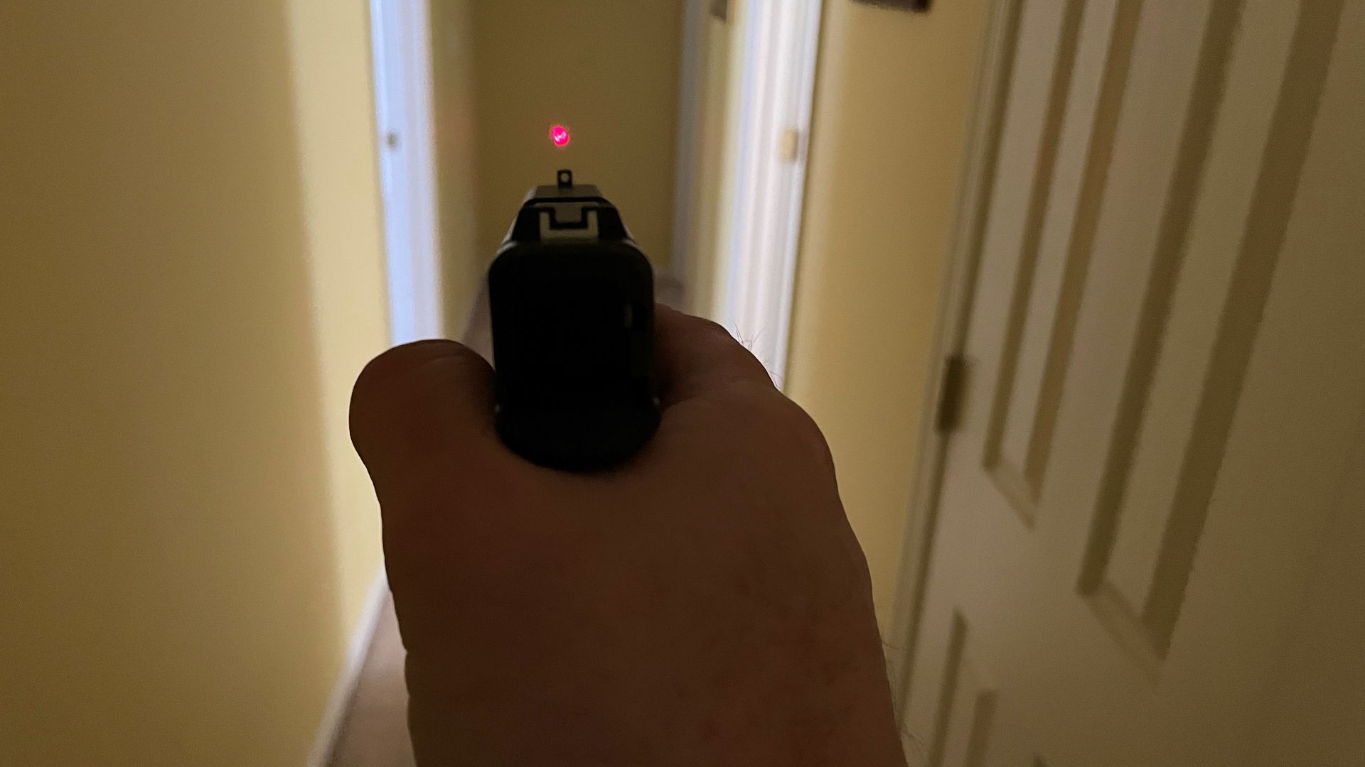 If you can't see your sights, aiming with the red laser dot is an option.