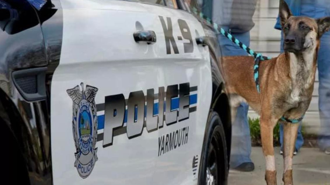 'Nero's Law,' was created in response to the shooting that claimed the life of Yarmouth Police K-9 Sgt. Sean Gannon left his K-9 partner Nero severely injured.