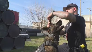 Hqdefault 6221233bb0d39