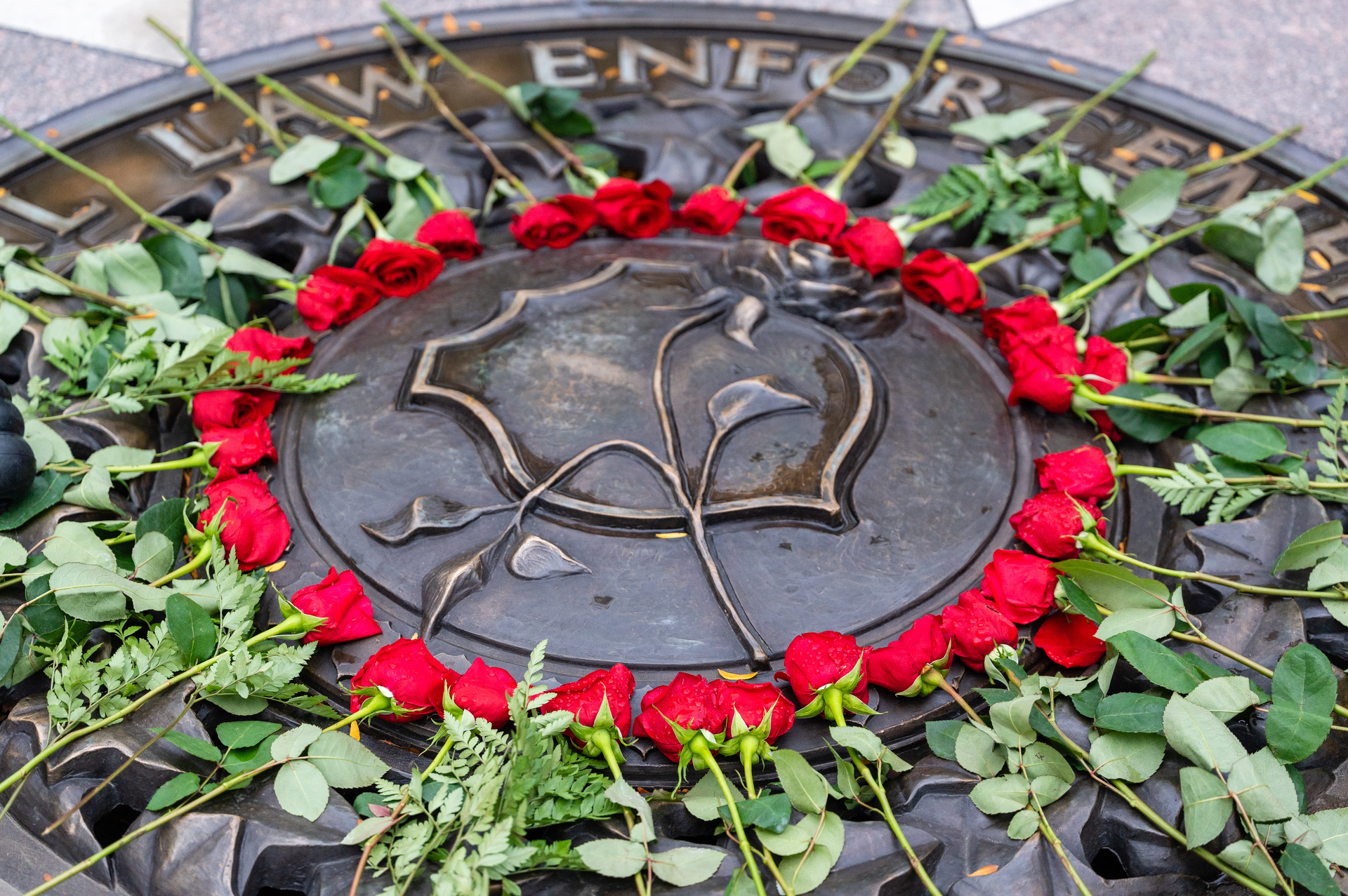 51648504777 B5fe88fab8 O (2)