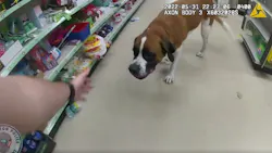 Bradenton, FL, police officers were able to reunite a large missing dog with its owner after wrangling the canine from a retail store it had wandered into. Bradenton, FL, police officers were able to reunite a large missing dog with its owner after wrangling the canine from a retail store it had wandered into.