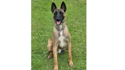 Pascagoula, MS, Police K-9 Exo. Pascagoula, MS, Police K-9 Exo.