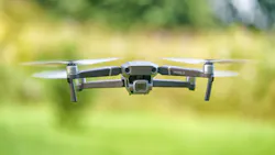 Dreamstime Xxl 194818818 62a73d34f3034 Dreamstime Xxl 194818818 62a73d34f3034