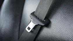 Dreamstime Xxl 73168149 62ab8396ab84b Dreamstime Xxl 73168149 62ab8396ab84b