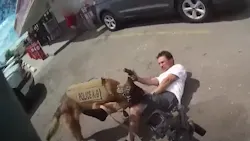 A man wanted on felony arrest warrants was fatally shot Aug. 24 when he drew and pointed a gun at Tucson, AZ, Police Department SWAT officers and a K-9. A man wanted on felony arrest warrants was fatally shot Aug. 24 when he drew and pointed a gun at Tucson, AZ, Police Department SWAT officers and a K-9.