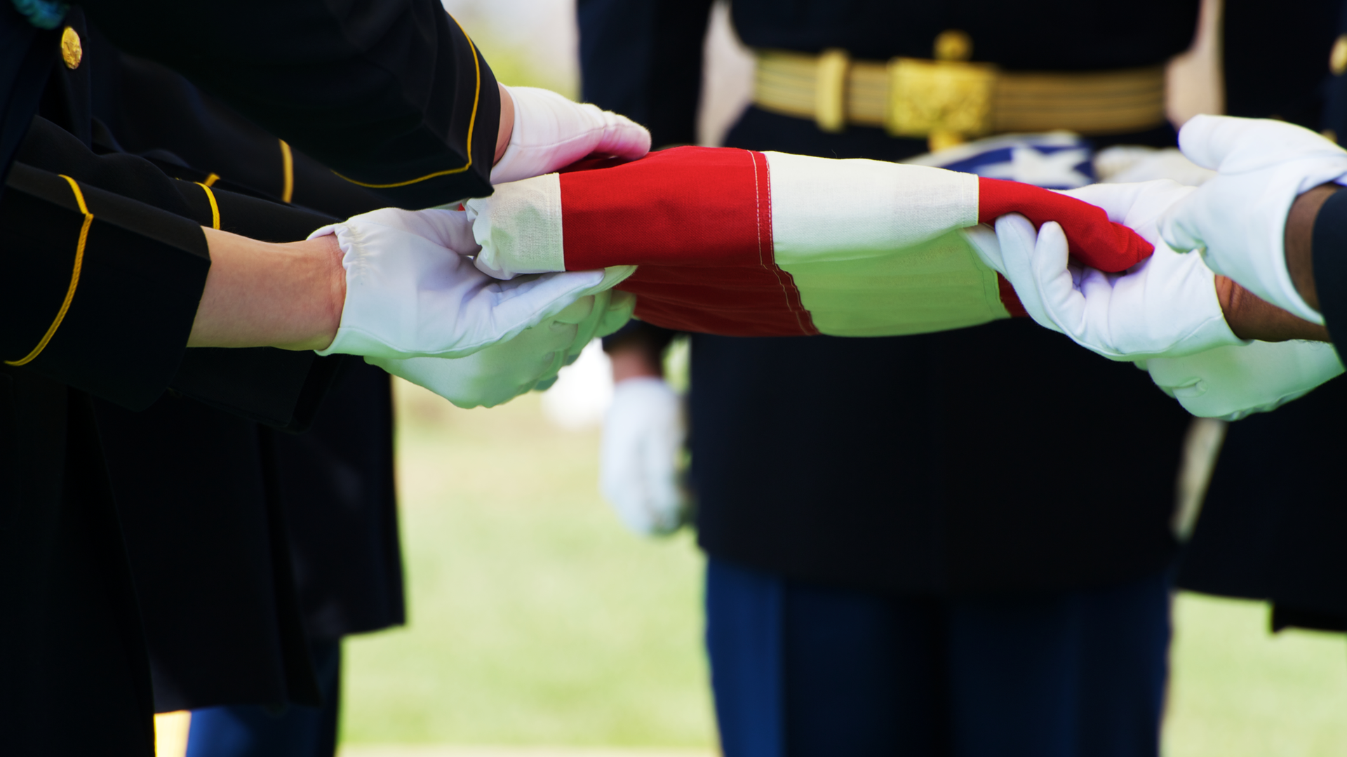 Dreamstime Xxl 13523491