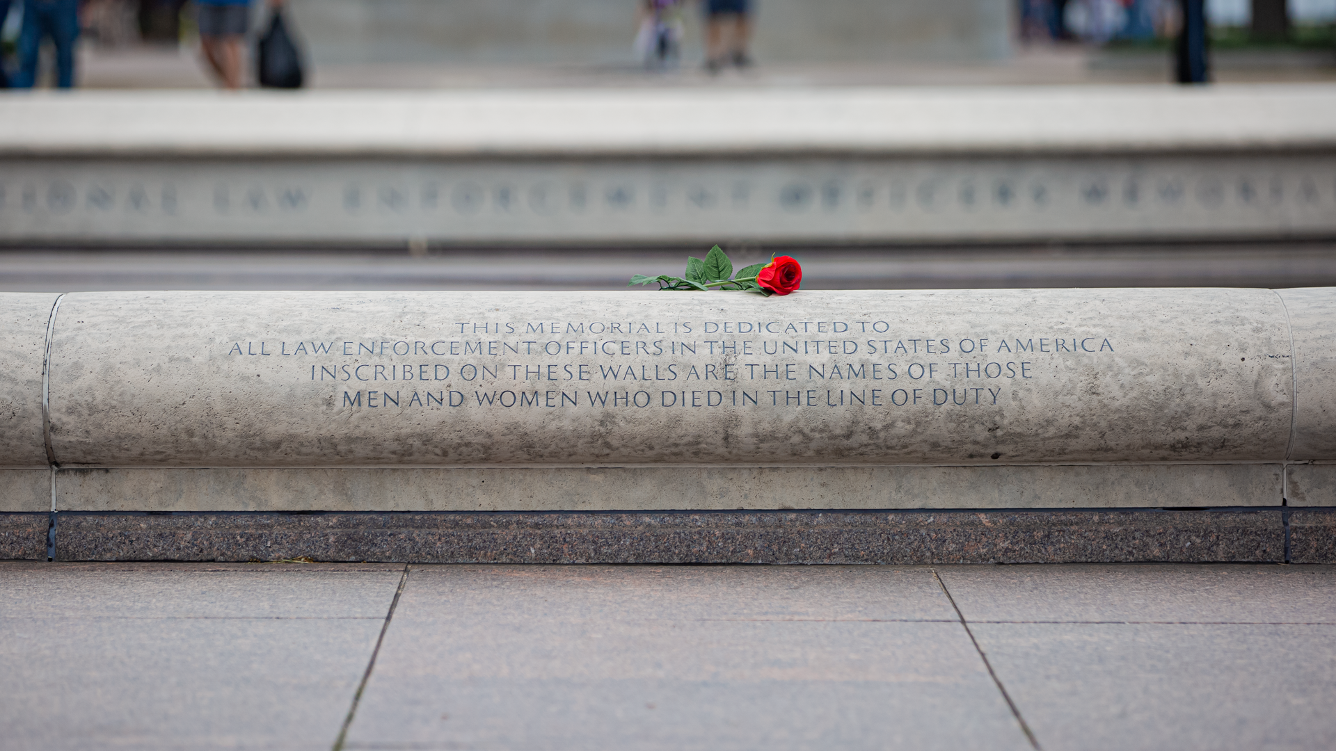 52101830599 76aed1b4d3 O