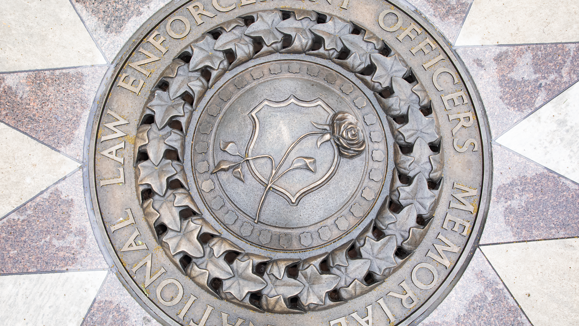 52101782438 81a987909a O (1)