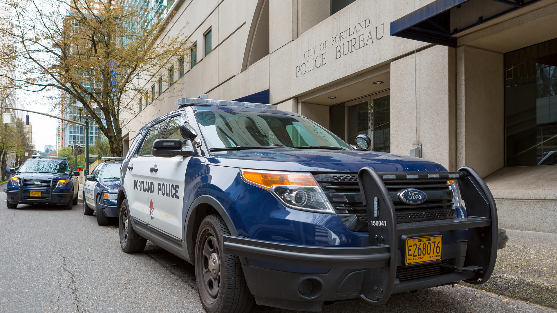 Dreamstime Xxl 90257235