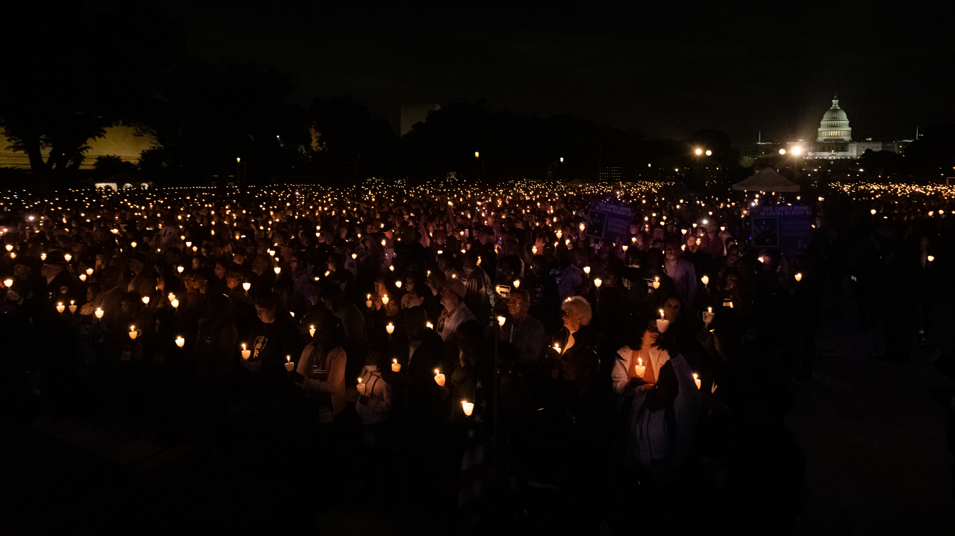 52104226519 74a4c7e51b O 1 642f0a6cb3894