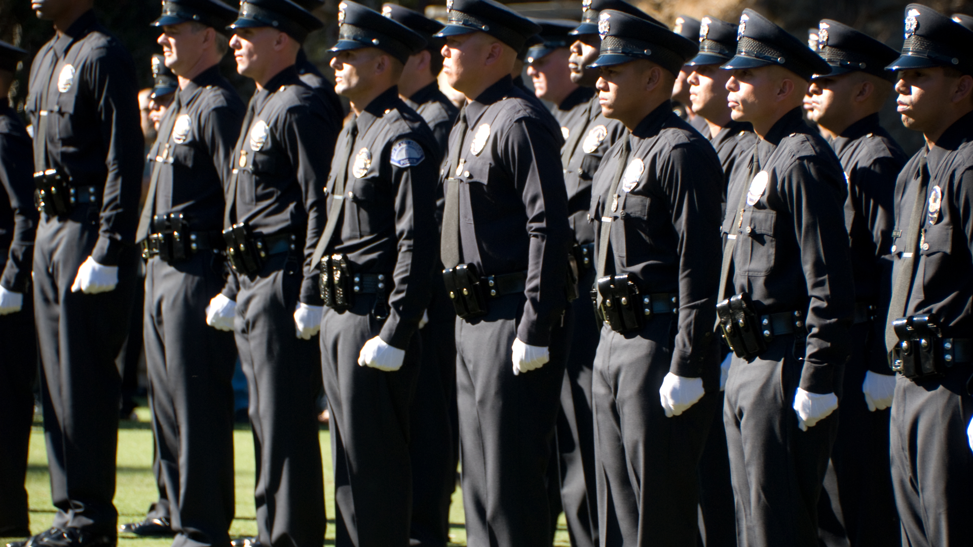 Dreamstime Xxl 7034441 643e935639a35