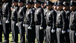 Dreamstime Xxl 7034441 643e935639a35 Dreamstime Xxl 7034441 643e935639a35