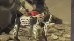 Maxresdefault 6441393a8c6e1 Maxresdefault 6441393a8c6e1