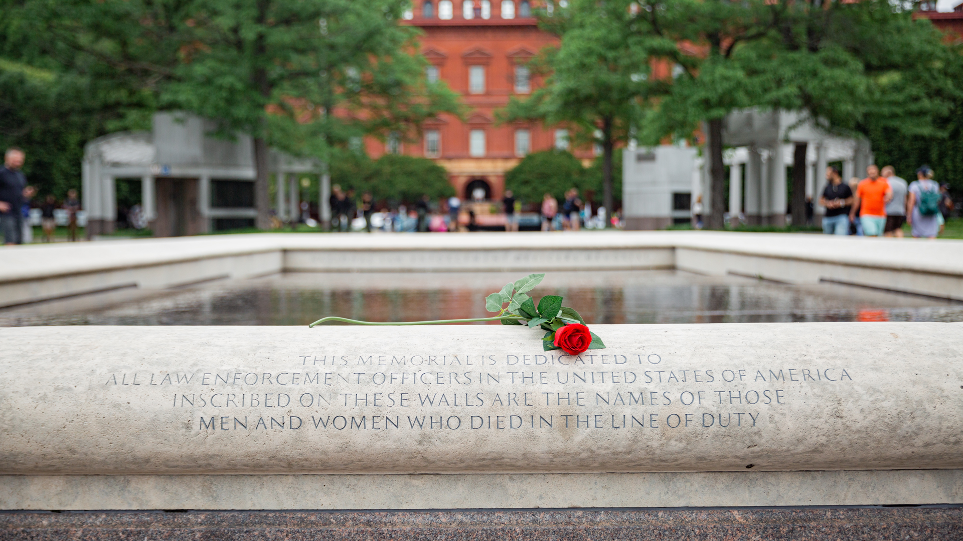 52927238168 Fb61d46d85 O 64b6914a4c945