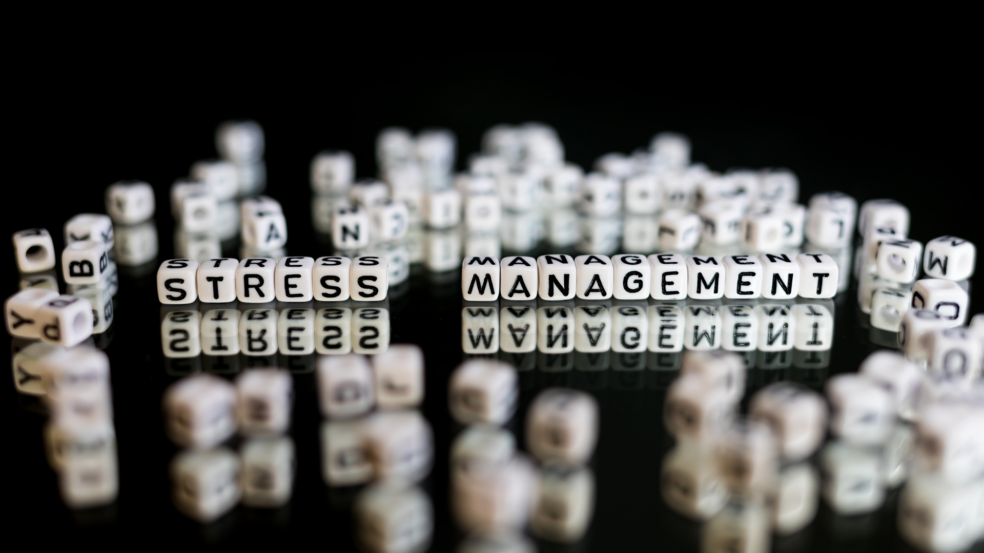 Dreamstime L 114067249 64d7782363fff