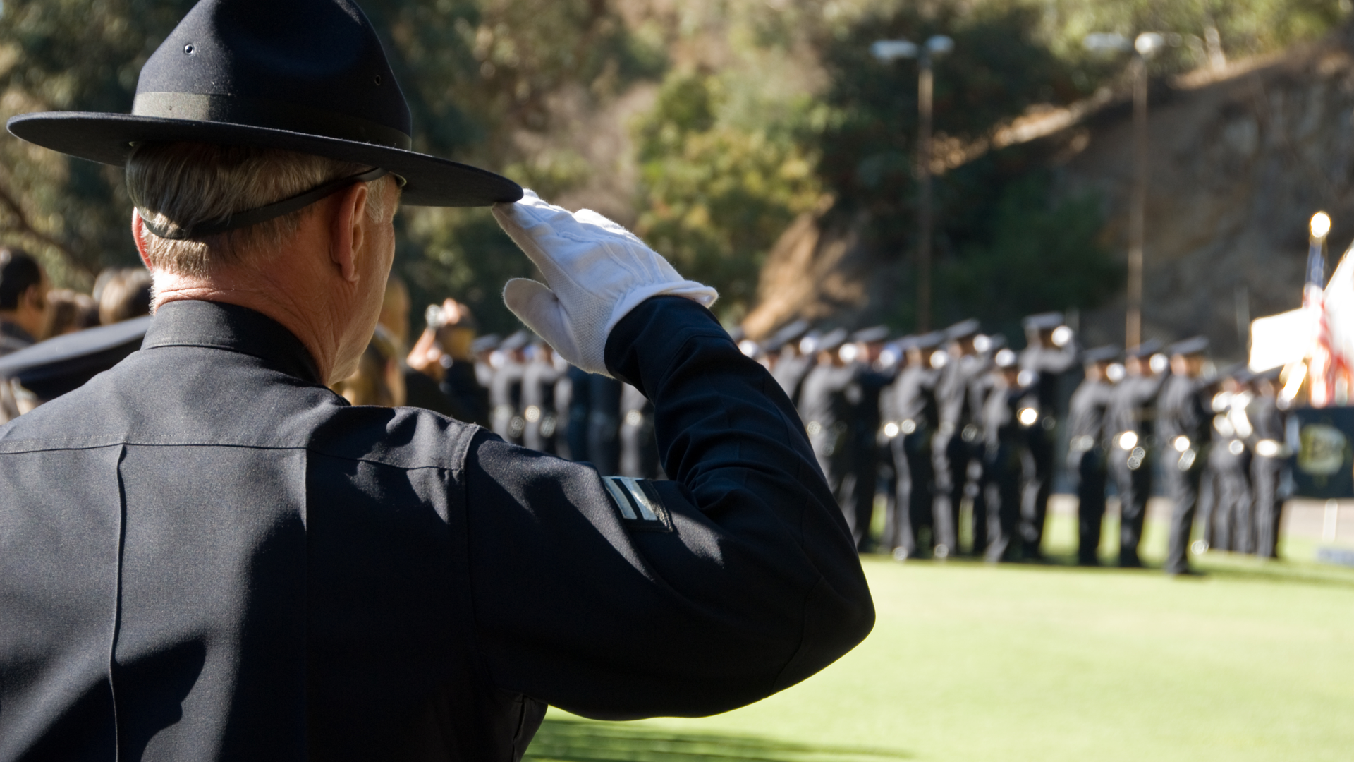 Dreamstime Xxl 7034145 1 64ee4a334661e