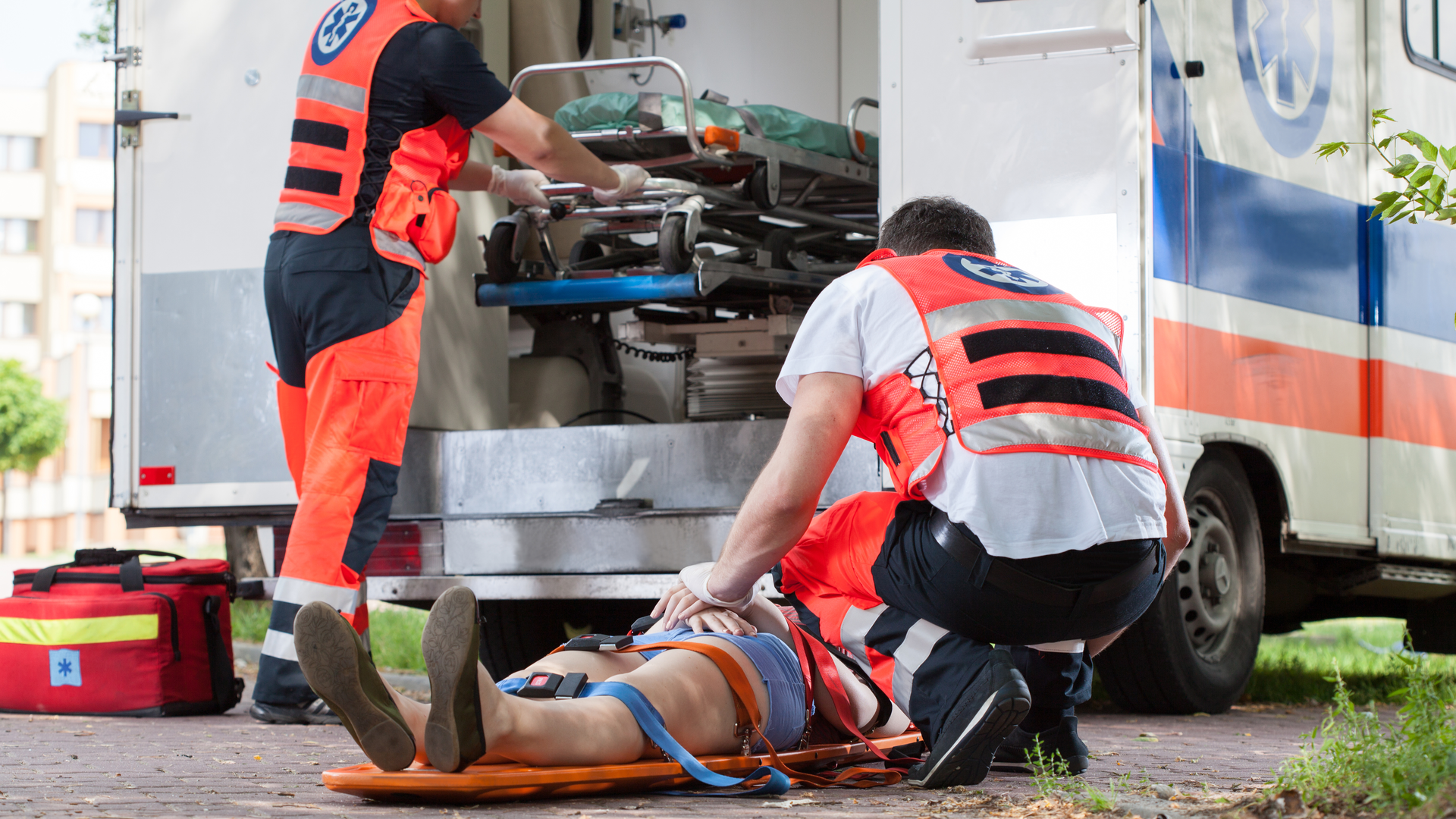 Dreamstime Xxl 44861545