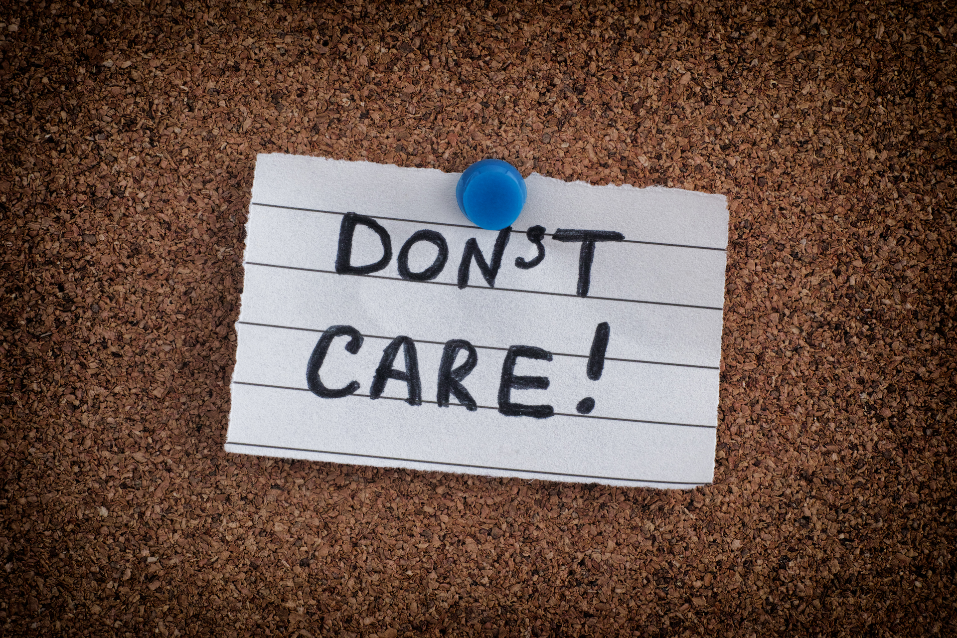 Dreamstime L 110283562 64f8878c3a6dc