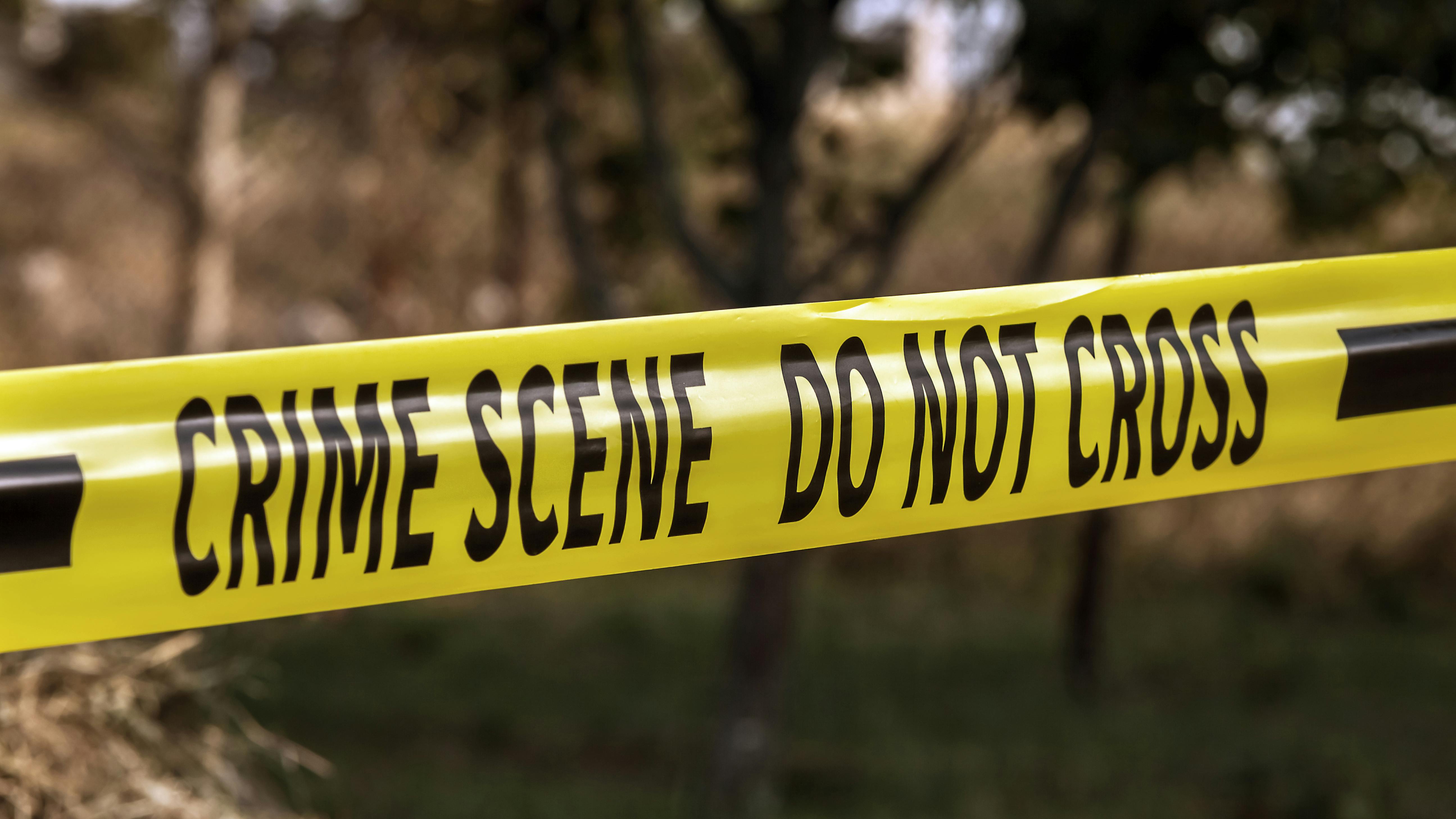 65a82d6fcaf6e7001f6b20e6 Dreamstime Xxl 128538675