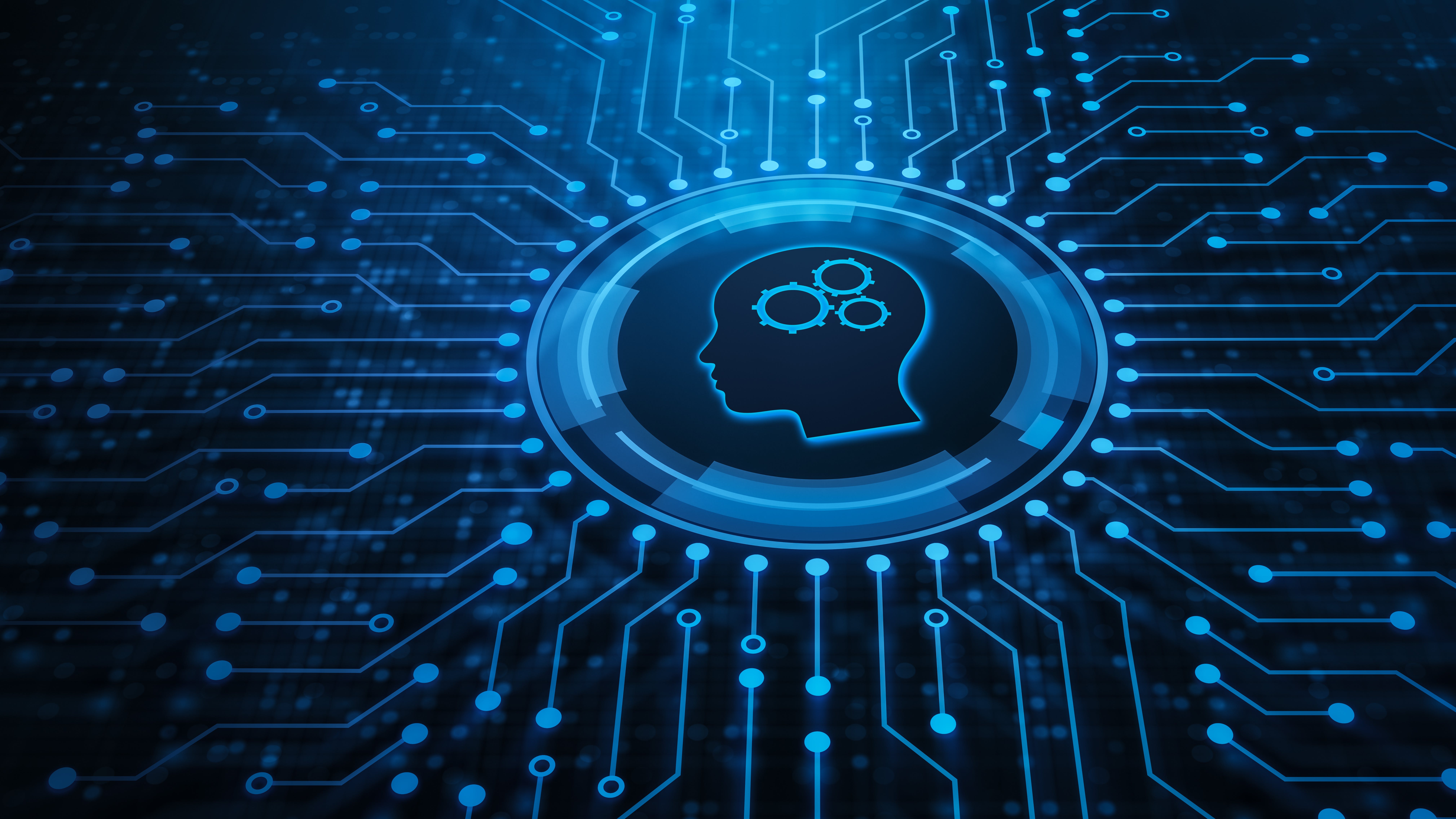 dreamstime_xxl_154440557_1