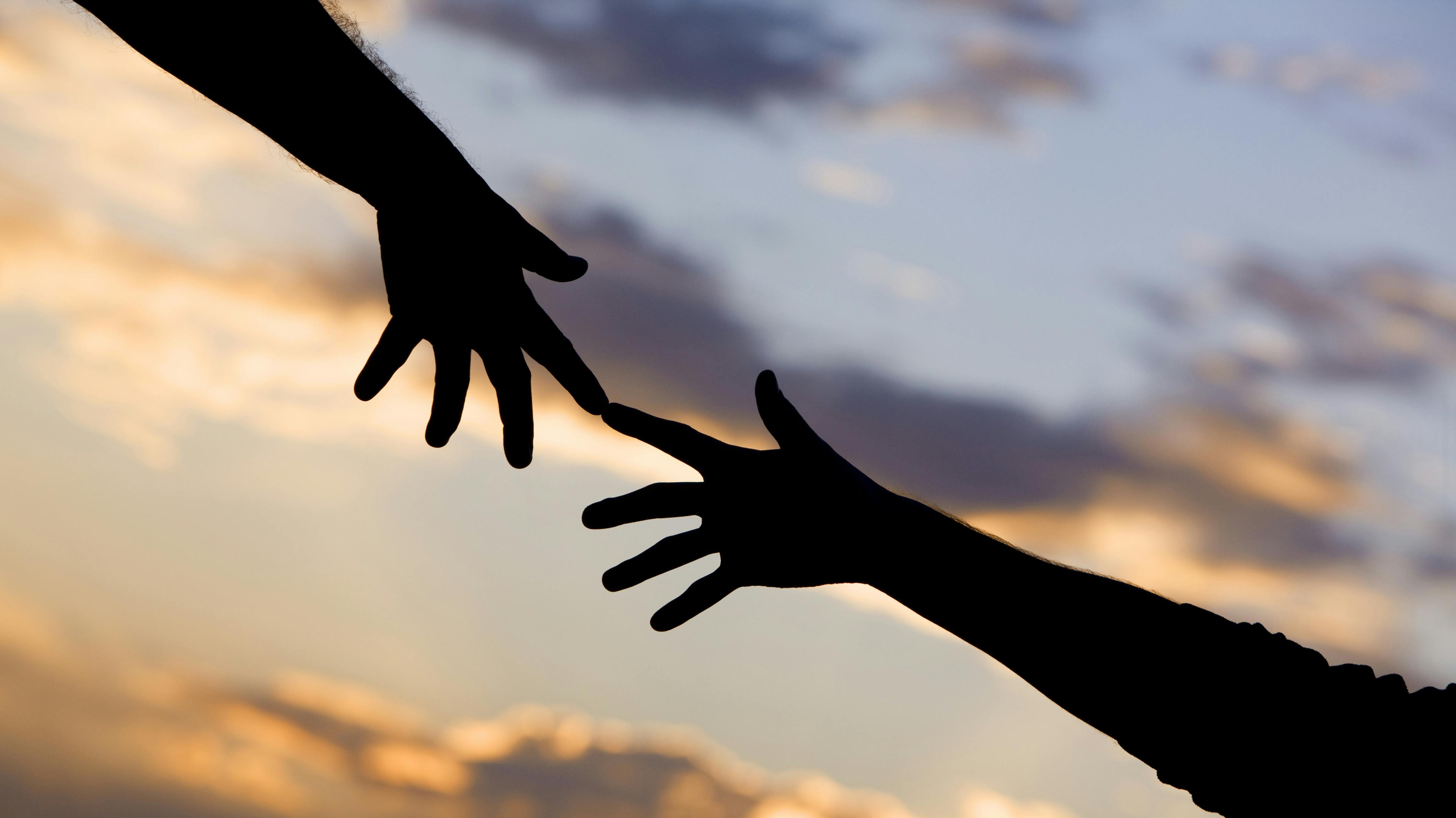 65f2e2ffda4507001e3043fa Dreamstime Xxl 9333597