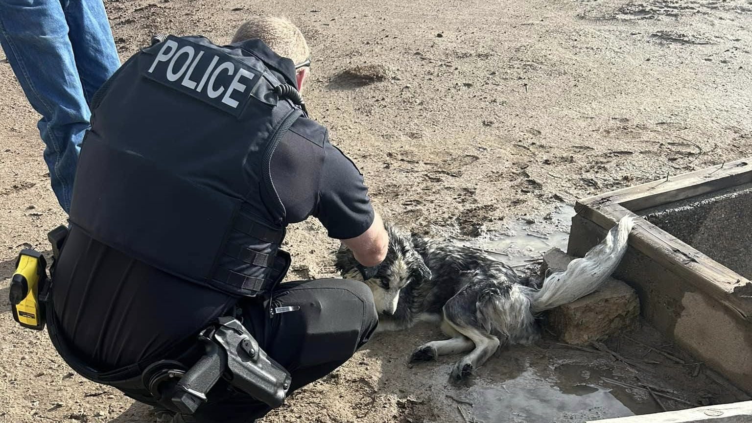 Delta, CO, police officers secured a line and hoisted a dog out of a 15-foot water drain Sunday during a flood warning in the area after the dog became trapped in the drain for several days.