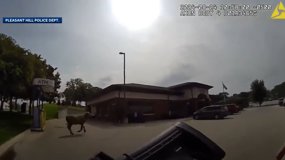 pleasant_hill_police_water_buffalo_ia