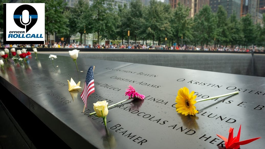 66e1d32687ceea148988264e Sept