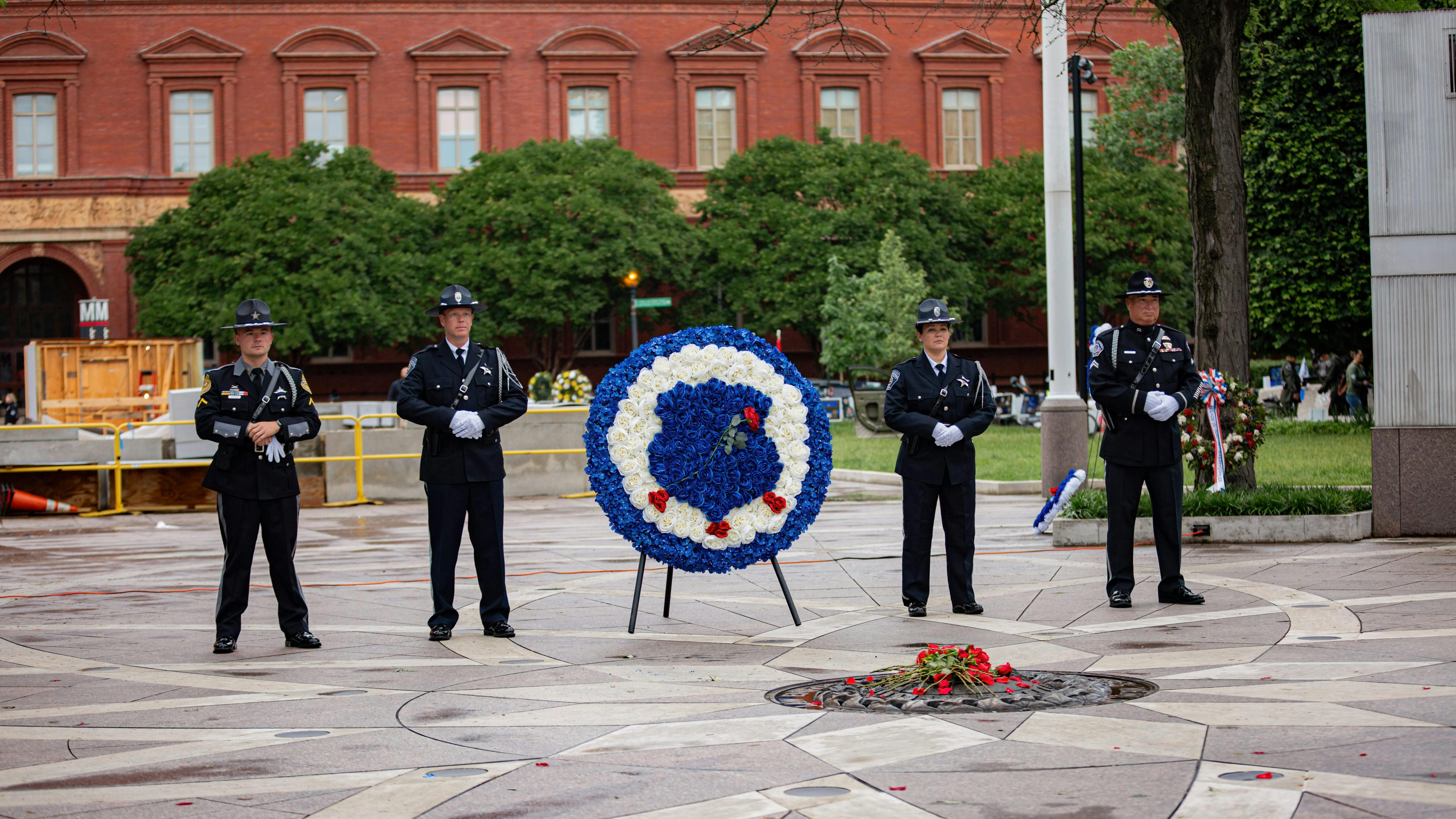 53756637880_98f0f353f5_o