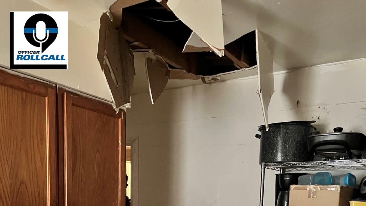 A Memphis murder #Fugitive, Deario Wilkerson, tried to hide in the attic. He was captured by U.S. Marshals after he fell through the ceiling. A fugitive wanted in a fatal shooting in Memphis, TN, was arrested by U.S. Marshals in August when he fell through the ceiling of a home while trying to hide in the attic.