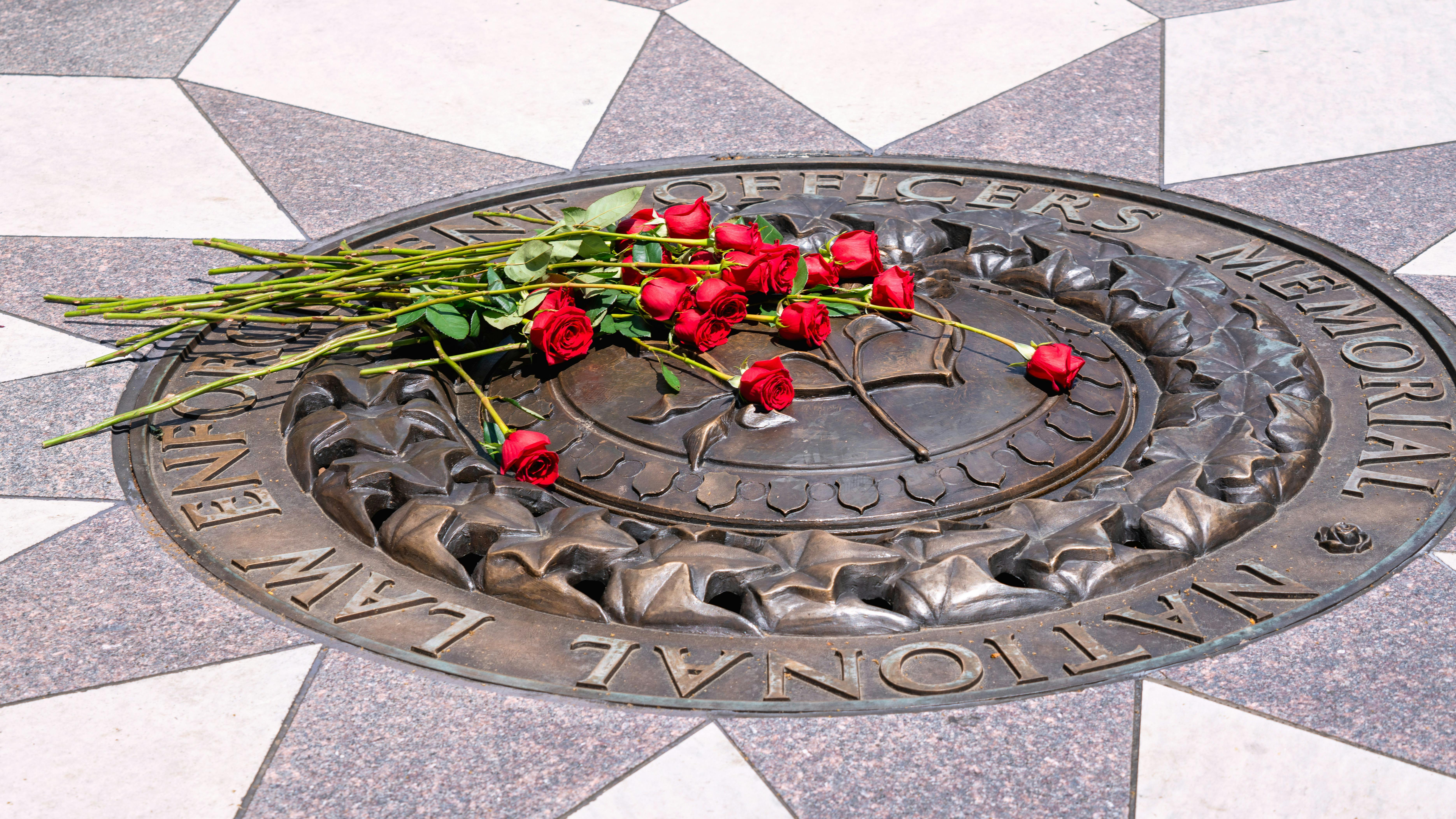 677d2624cca0b4632fcd8ea2 Loddreport