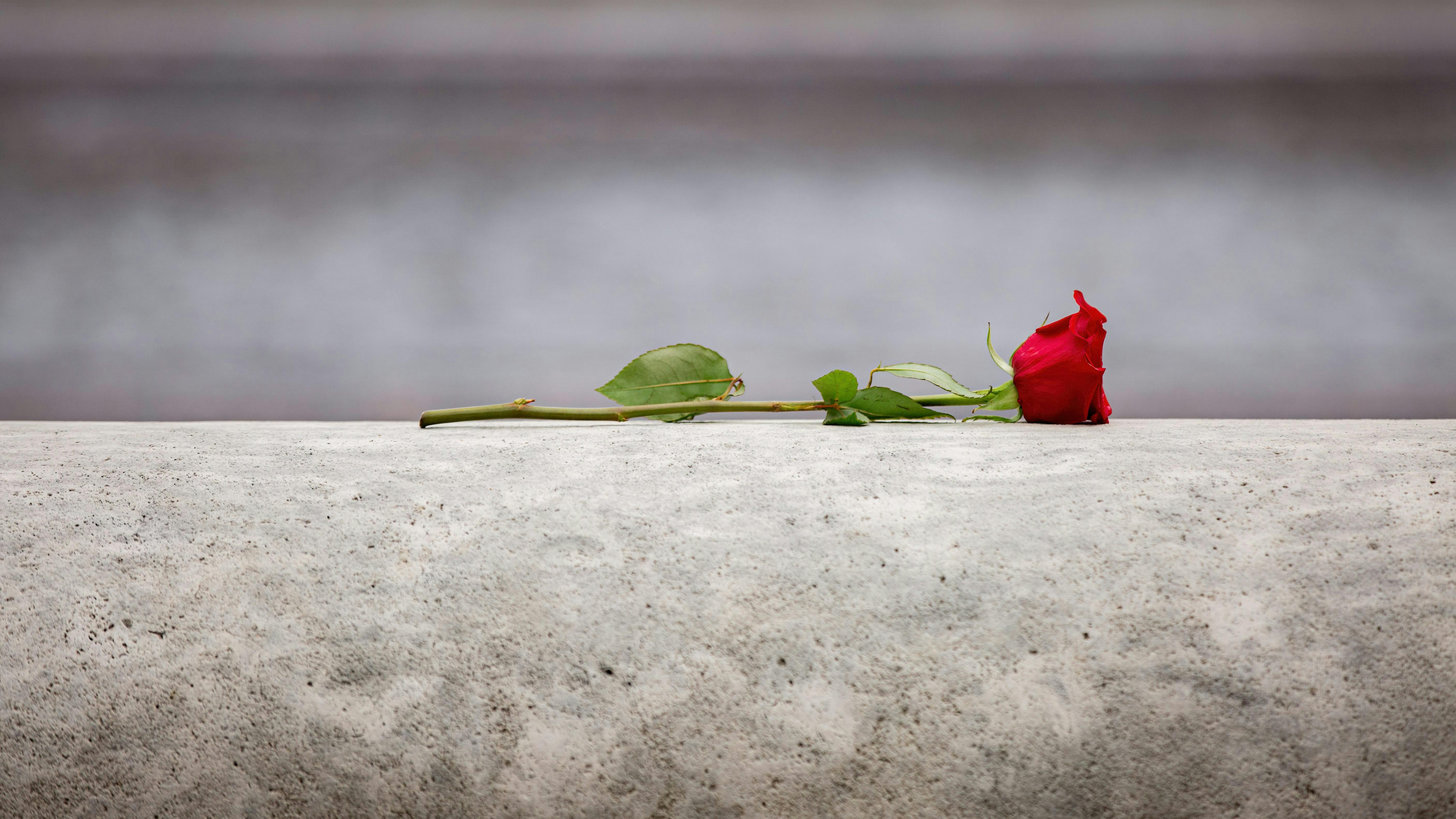 679004dd57fa5a6168605169 53756414893 2c20ec3f46 O