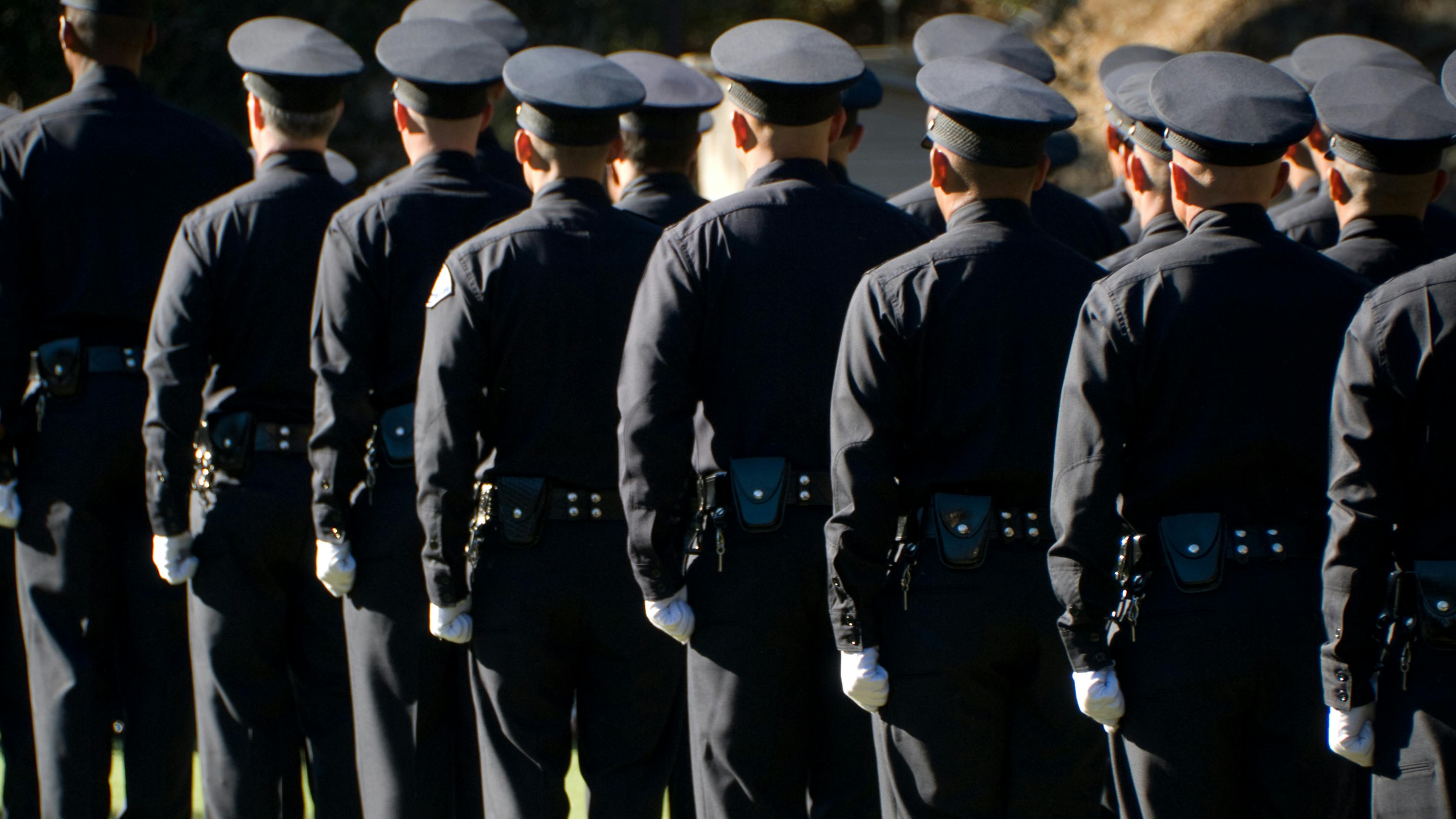 67e728d36db2bc9236e3df39 Dreamstime Xxl 7034506