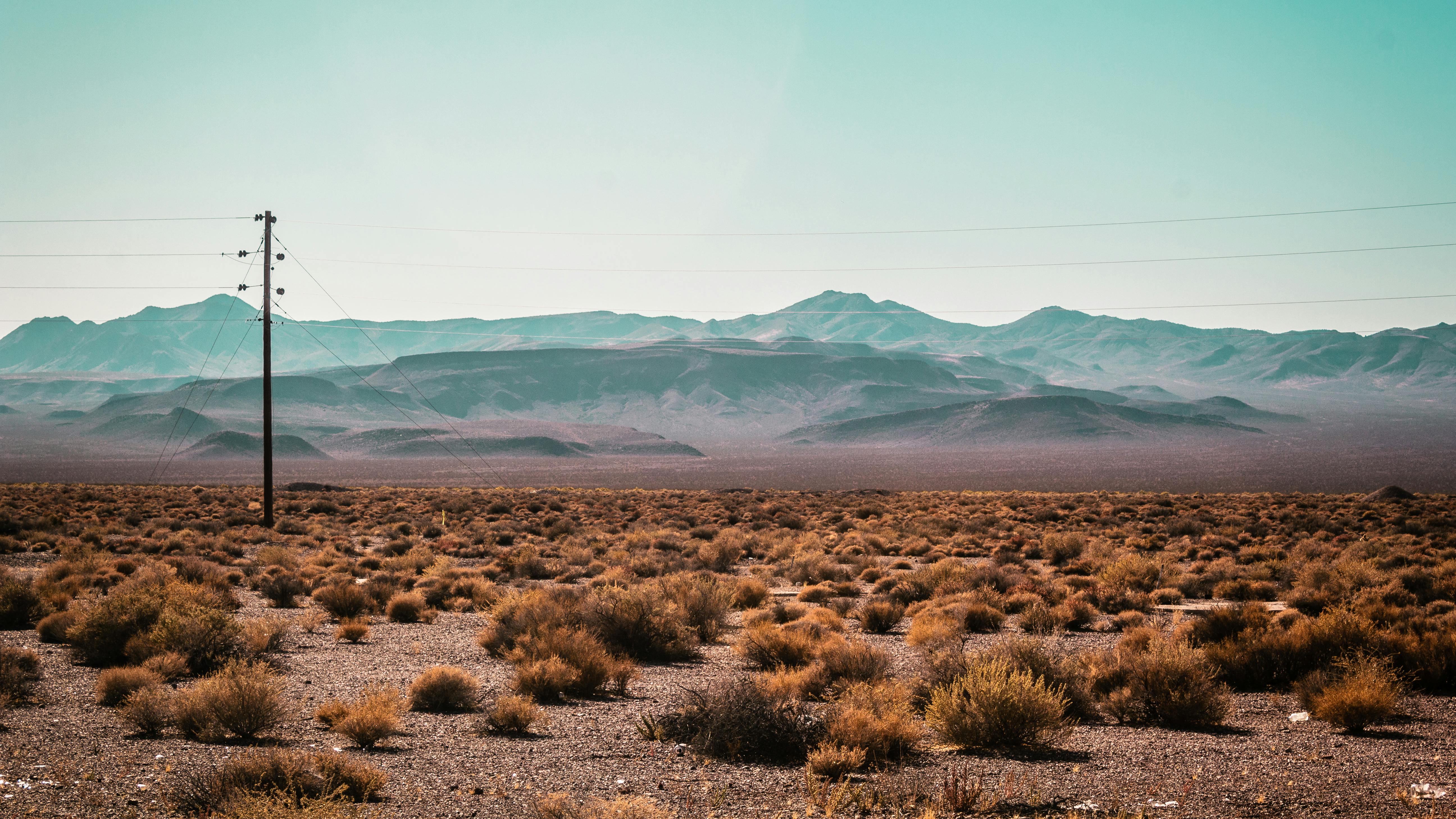 dreamstime_xxl_73476569