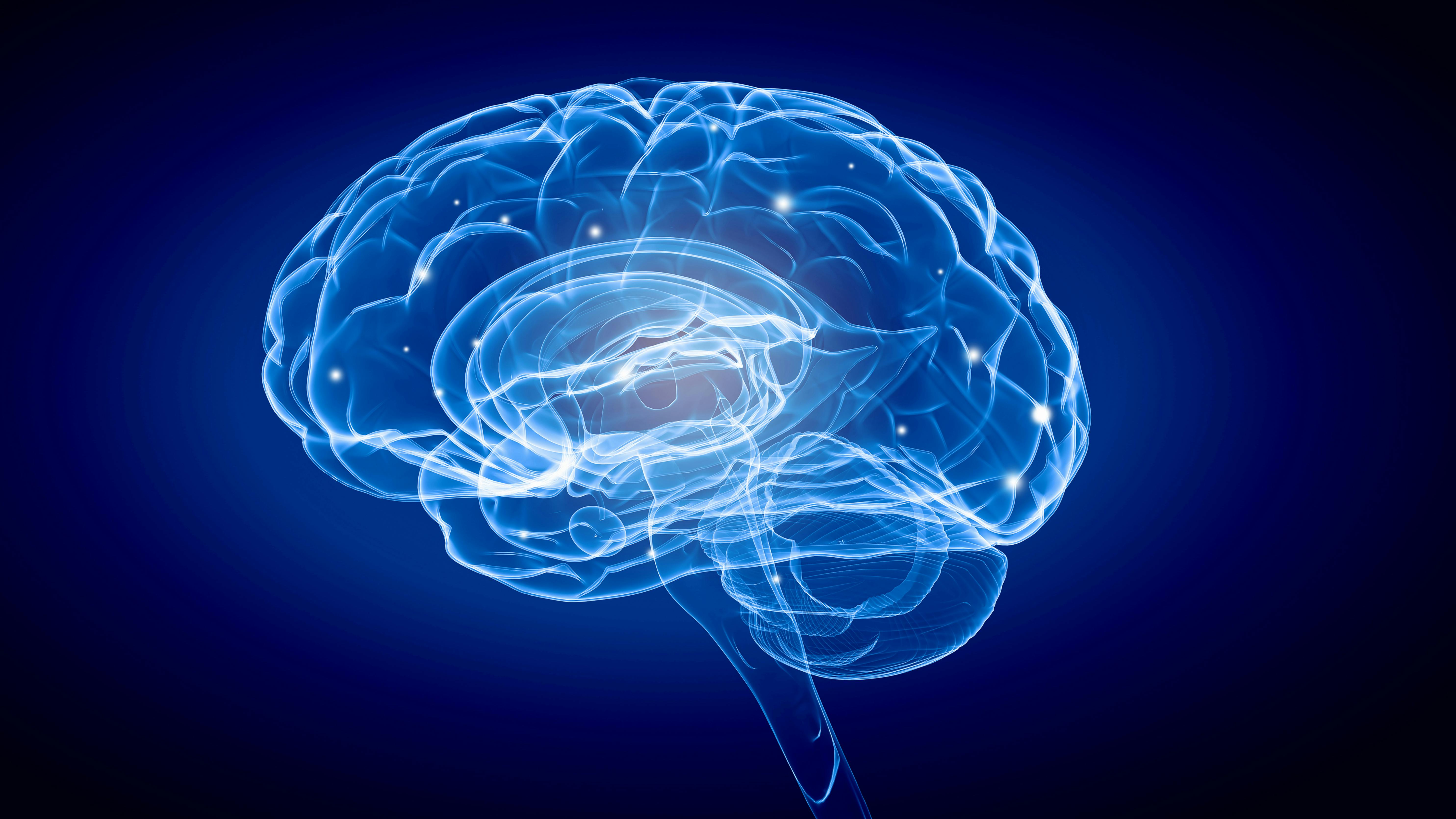 67eda1176f828825ea998251 Dreamstime 57817614