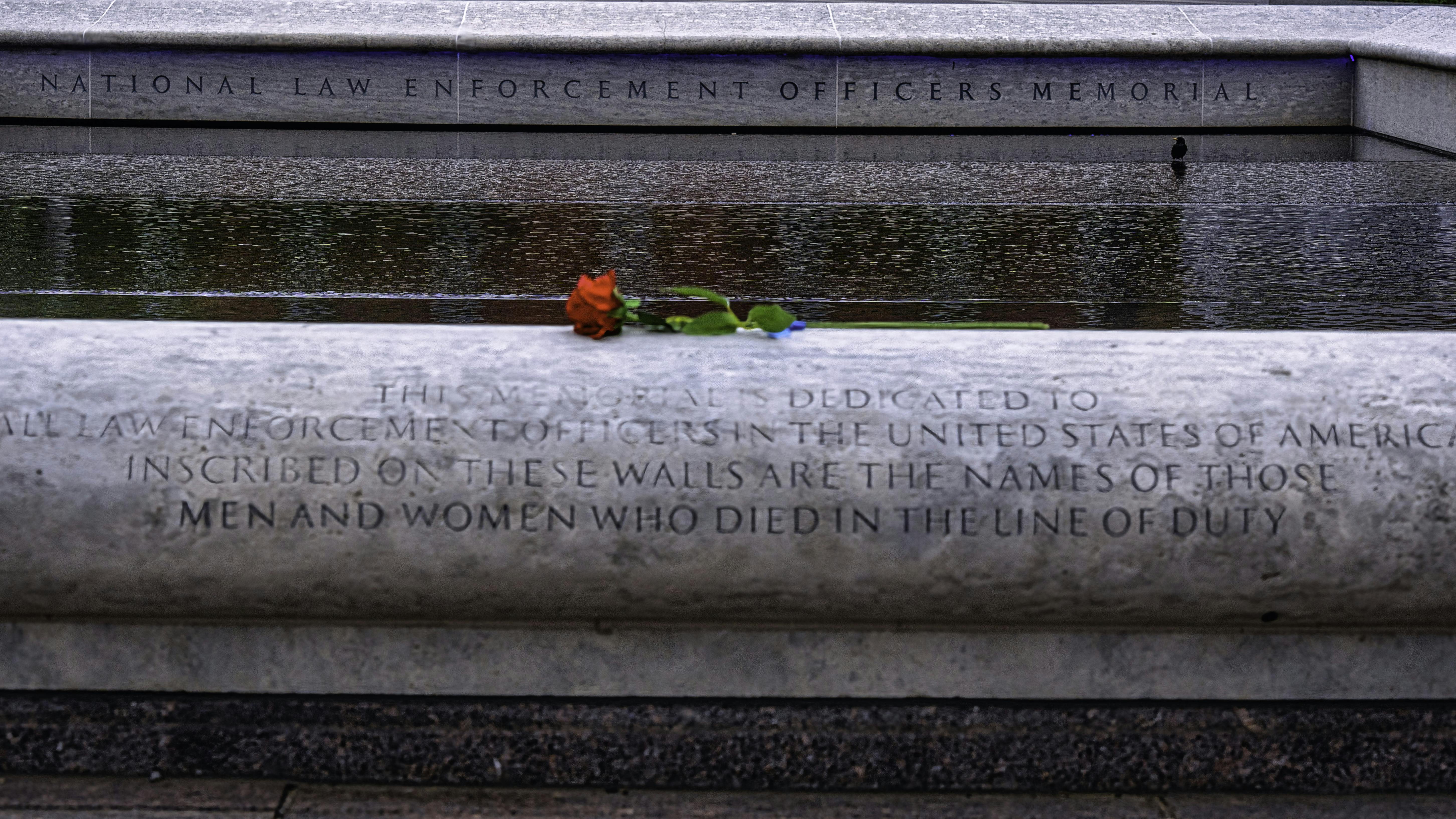 686d468ef8c67d6d3485381e 54535543825 Fb4a488f6d O