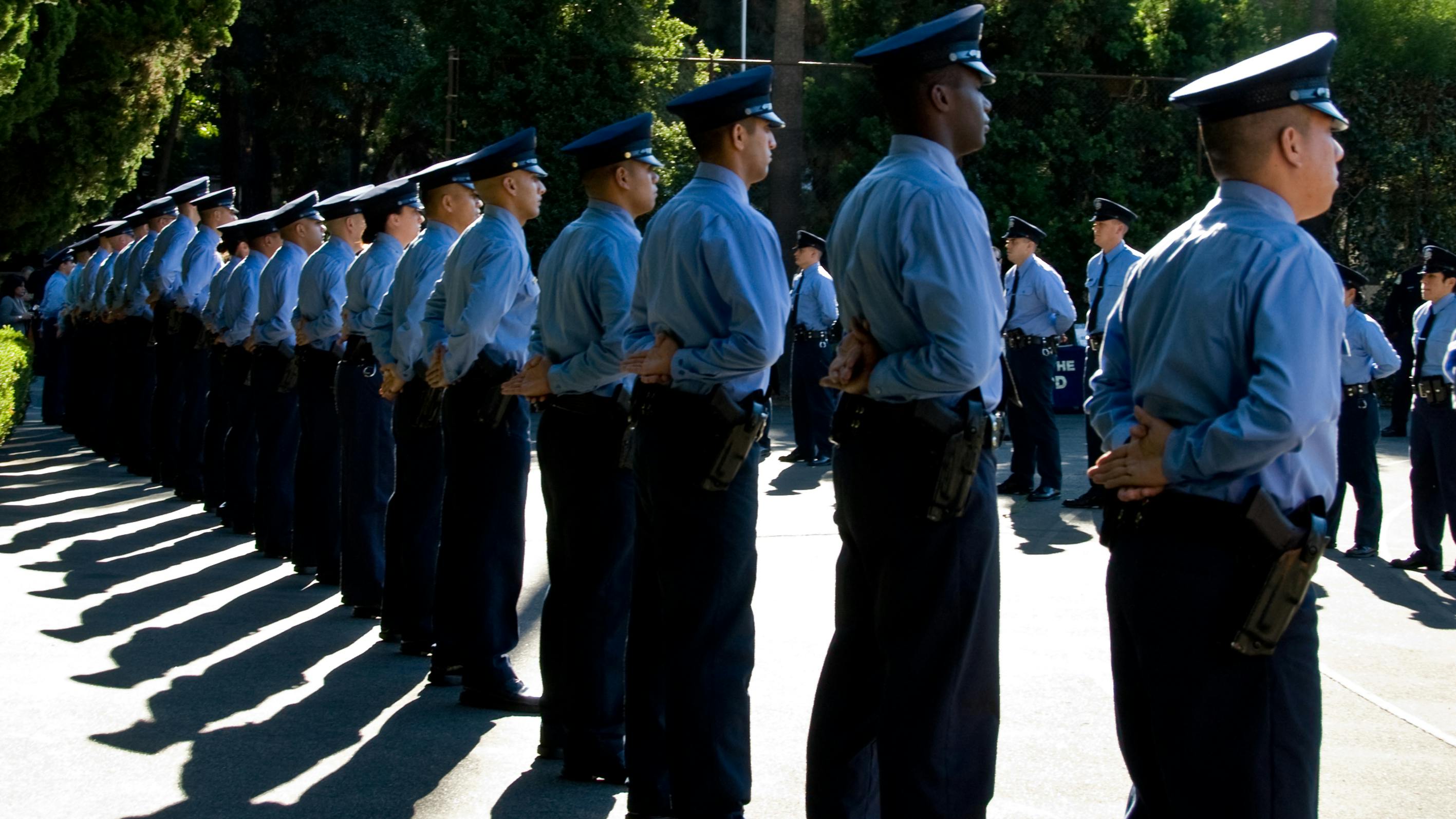 689ced7923477b3005c75a07 Dreamstime Xxl 7033890