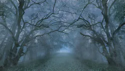 68af219cd567d14111c8ae91 Dreamstime Xxl 160299845 68af219cd567d14111c8ae91 Dreamstime Xxl 160299845