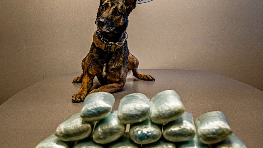 A Coconino County Sheriff&rsquo;s Office K-9 unit deputy seized more than 17 pounds of suspected fentanyl during a traffic stop on Interstate 17 earlier this month.