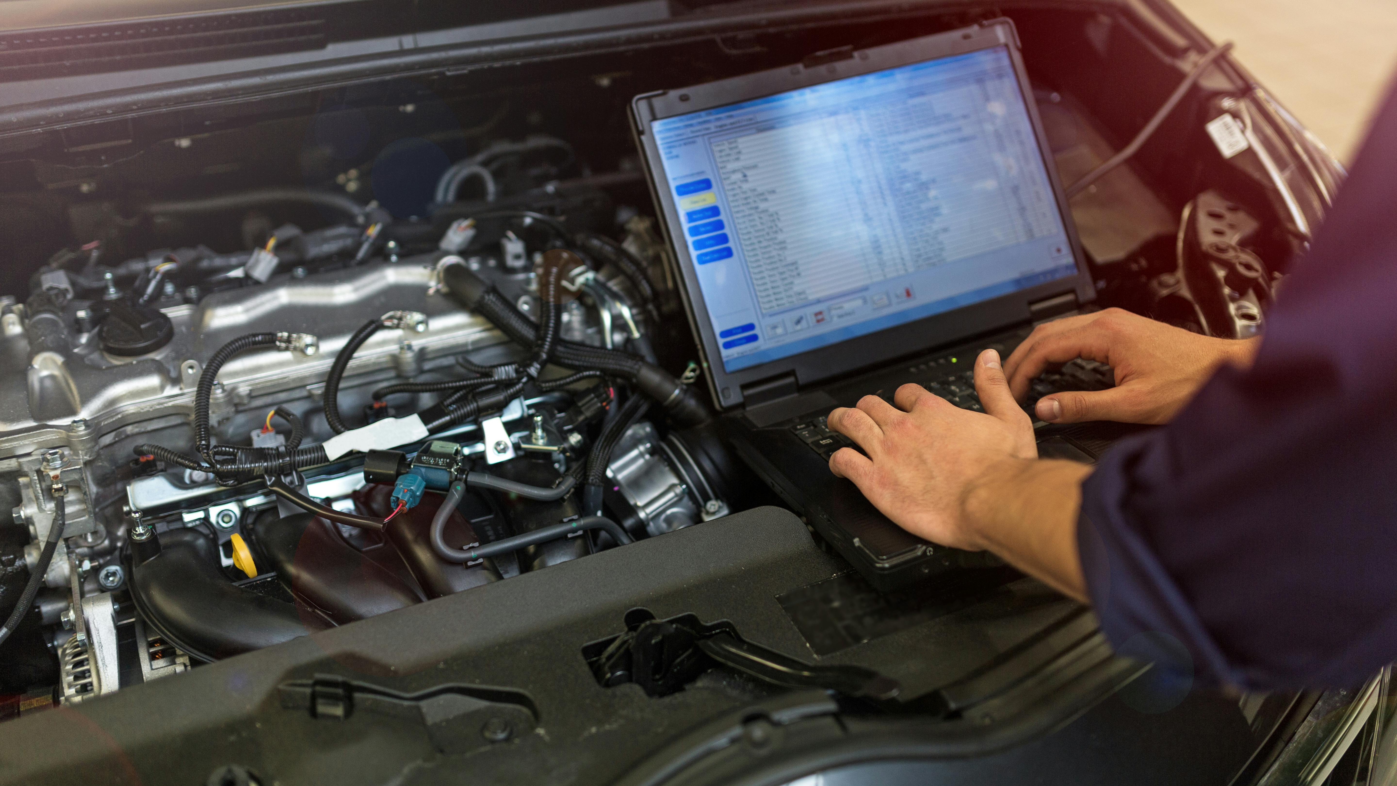 dreamstime_xxl_105779868